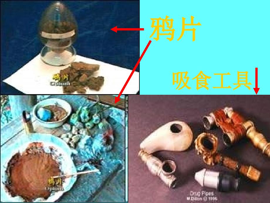 《拒绝毒品》课件_第4页