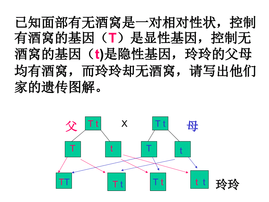 第四节人的性别遗传2_第2页