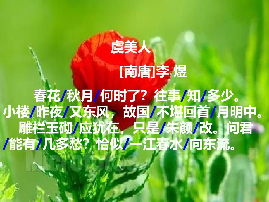 【虞美人】李煜课件_第4页