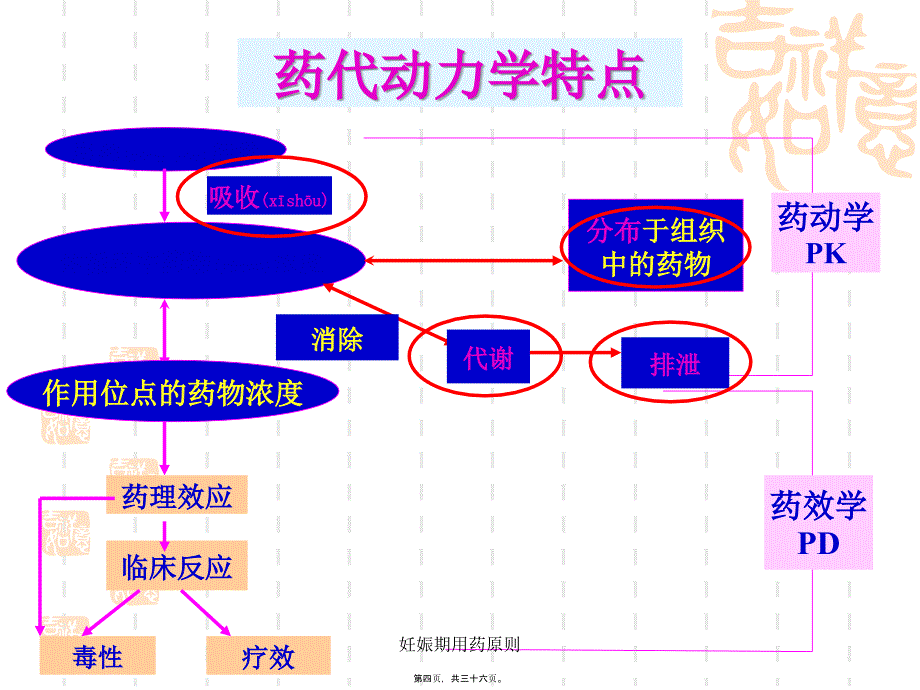 妊娠期用药原则课件_第4页