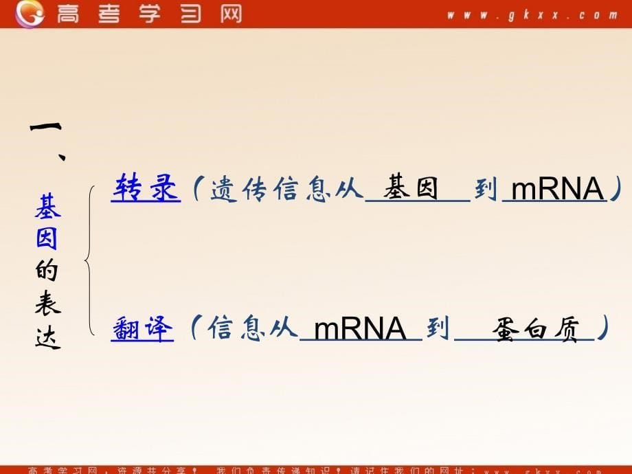 高中生物《基因的表达》课件2（38张PPT）（中图版必修2）_第5页