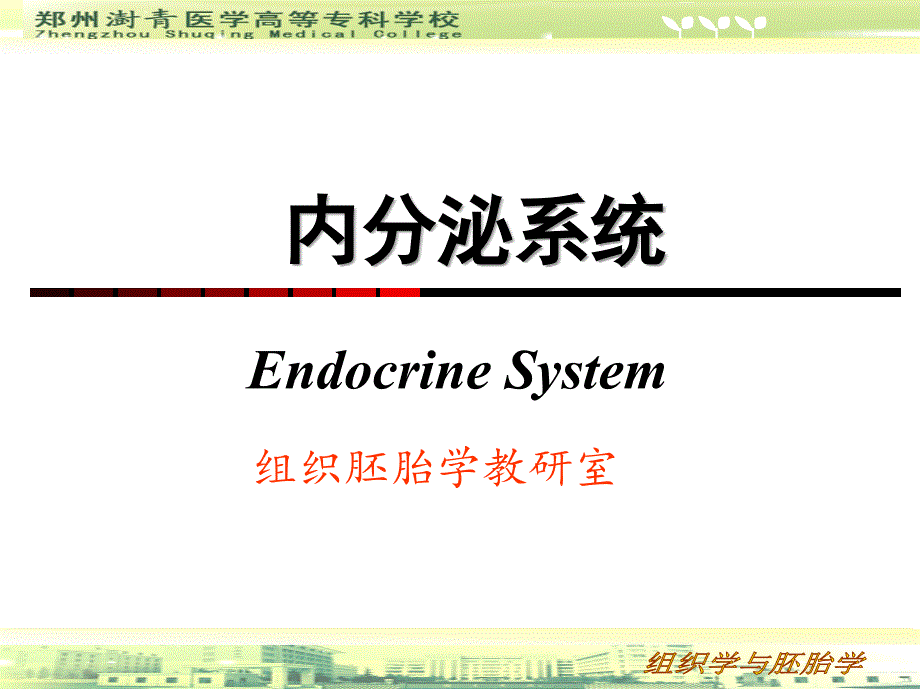 第八章 内分泌系统 ppt课件_第1页