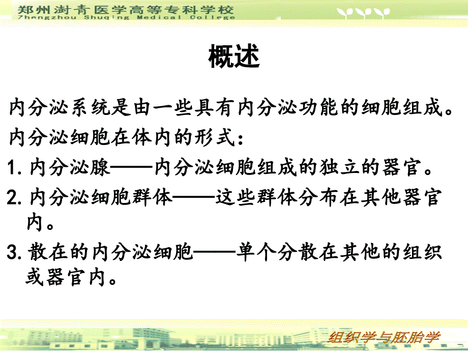 第八章 内分泌系统 ppt课件_第3页