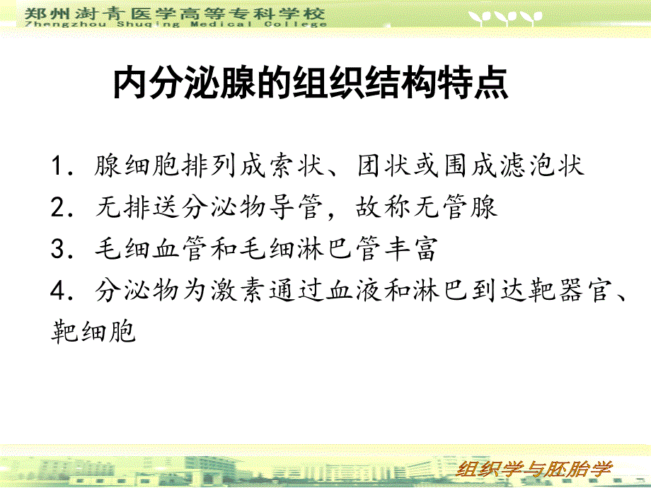 第八章 内分泌系统 ppt课件_第4页