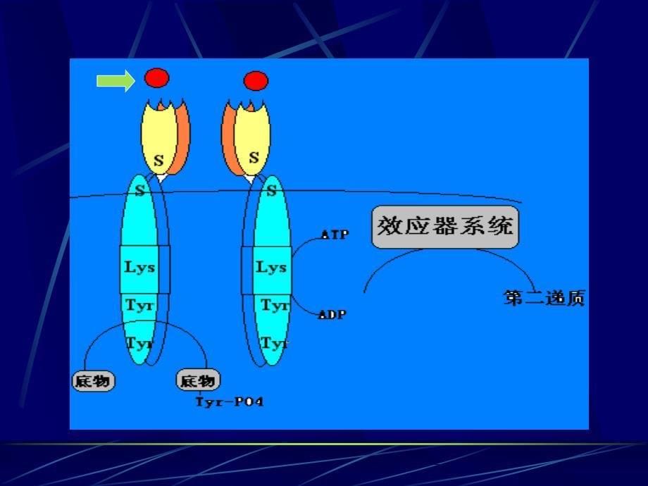 高胰岛素血症与腔隙性脑梗塞_第5页