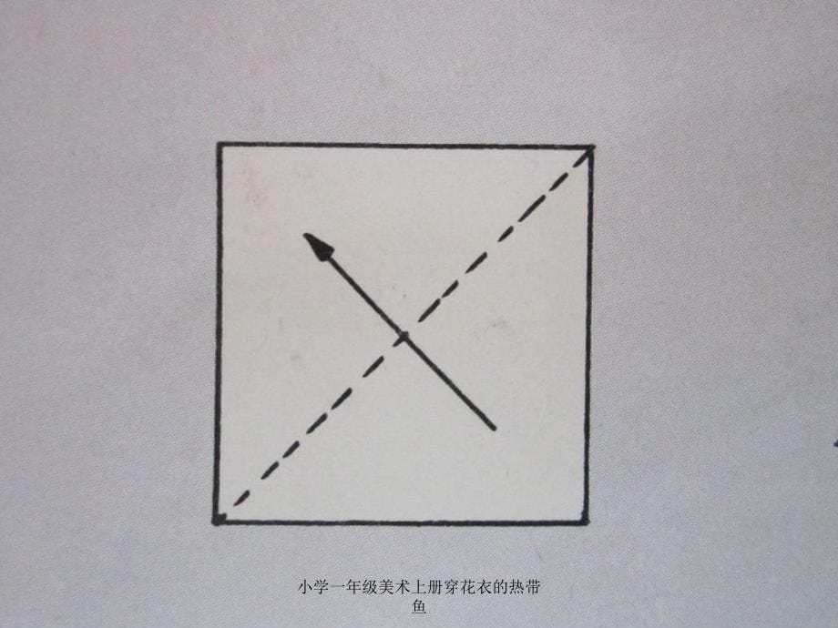 小学一年级美术上册穿花衣的热带鱼课件_第5页