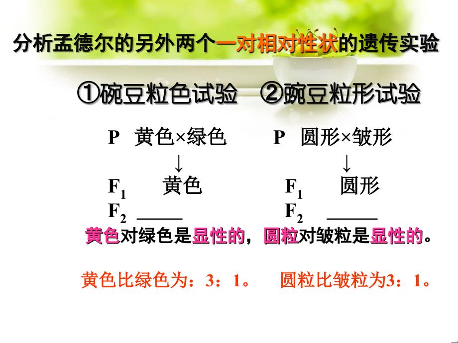 高一生物32基因自由组合定律课件苏教版必修2_第3页