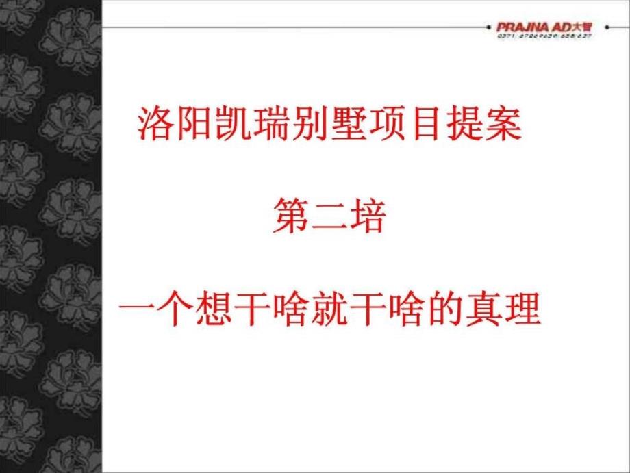 河南洛阳凯瑞国宝别墅项目提案(大智广告含平面)160页_第3页