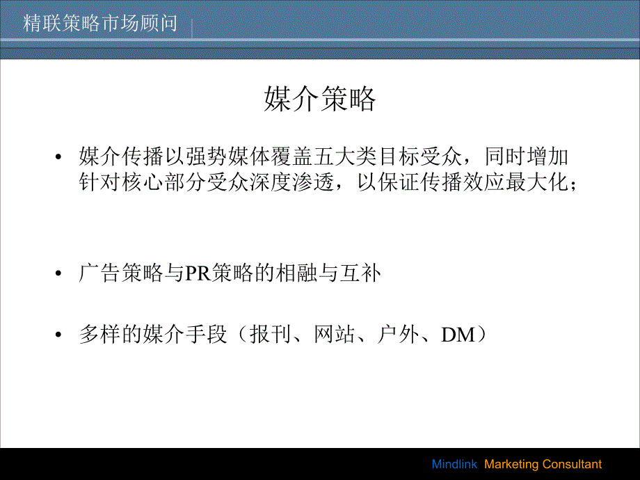 融科资讯中心2003市场传播计划_第3页