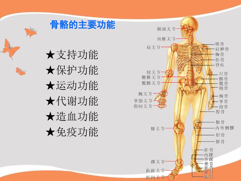 倍固健产品PPT课件_第3页