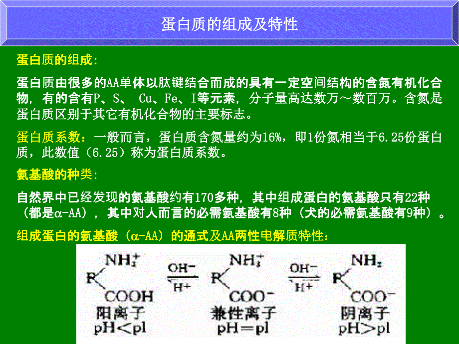 第十章蛋白质和氨基酸的测定_第2页