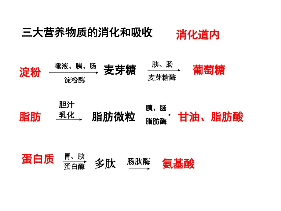 人教版教学ppt课件第二节通过激素的调节_第4页