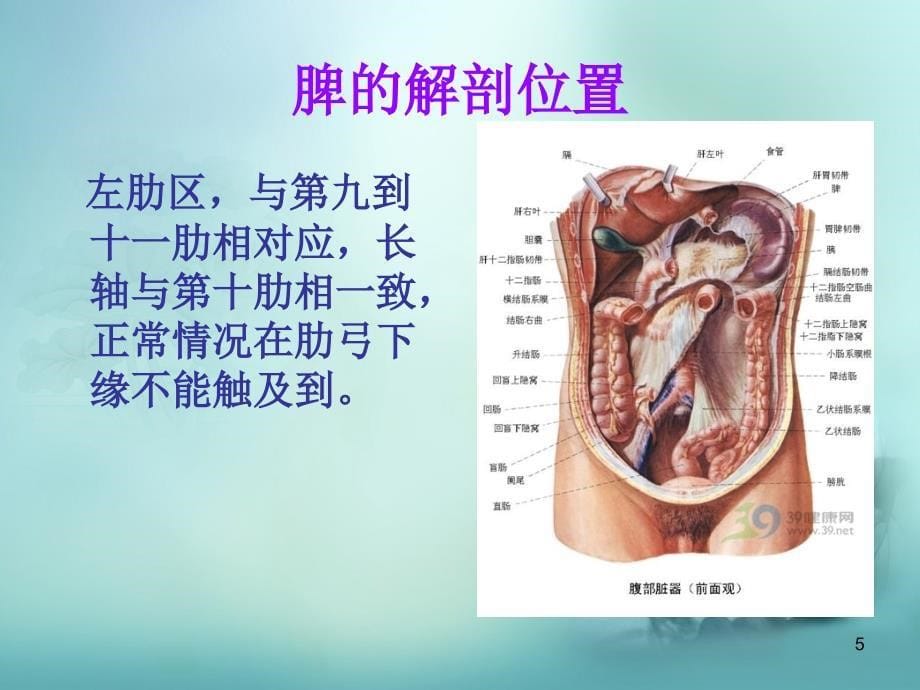 脾破裂术后护理PPT参考幻灯片_第5页