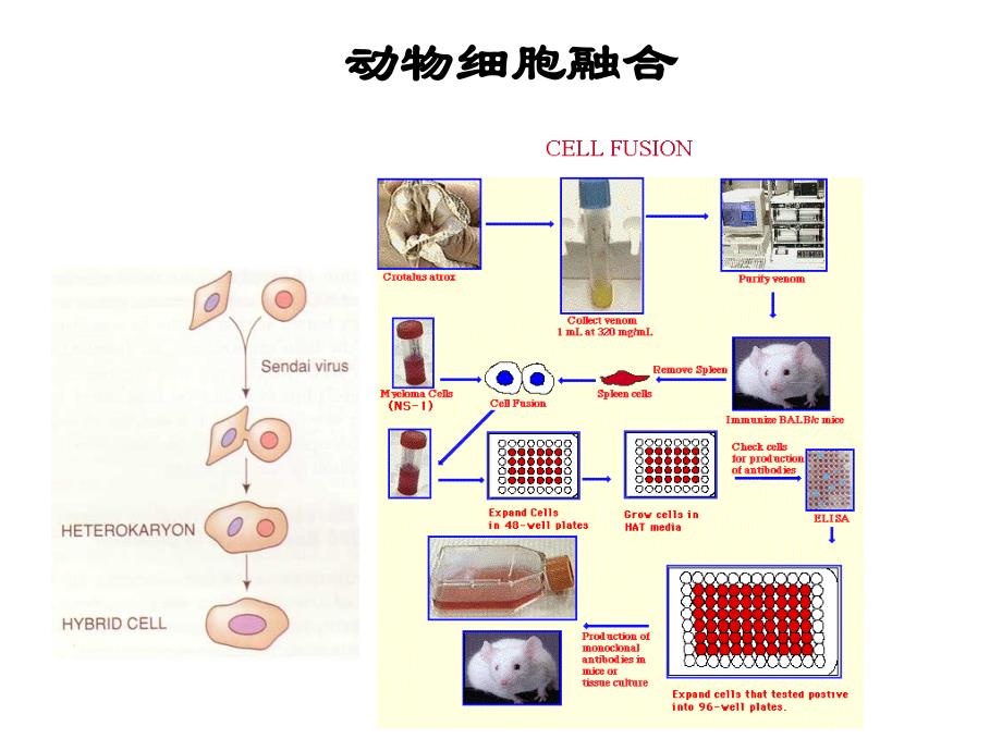 制药工程设备课件232_第1页