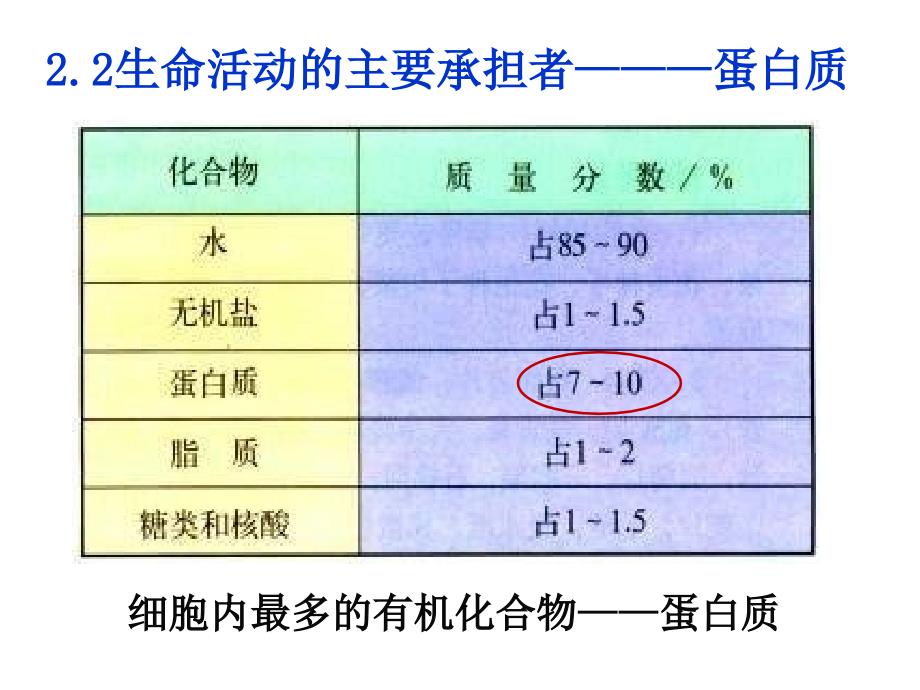 必修一2.2蛋白质生命活动的承担者_第2页