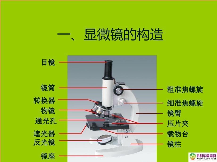 2-1-1七年级生物上册第二单元第一章第一节练习使用显微镜课件新人教版_第5页