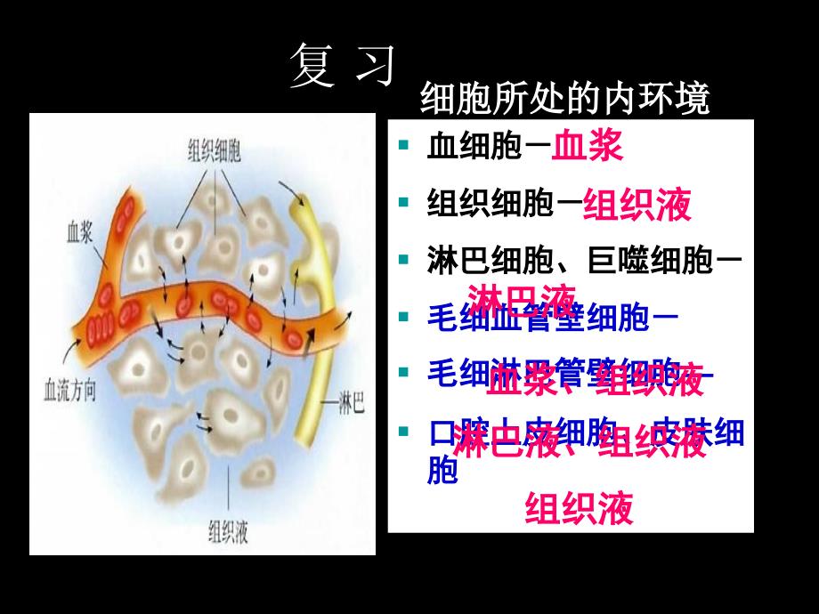 水和电解质的平衡及其调节_第2页