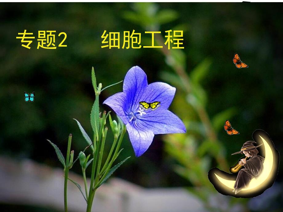 植物细胞工程.ppt_第1页