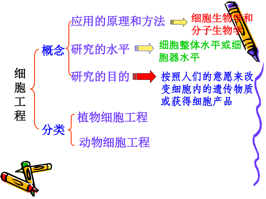 植物细胞工程.ppt_第3页