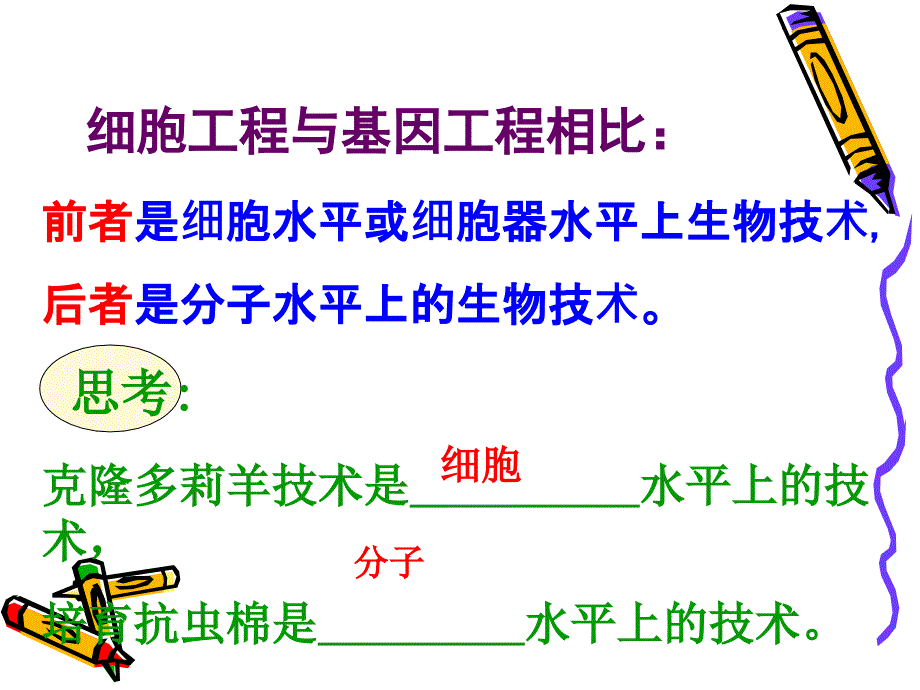 植物细胞工程.ppt_第4页