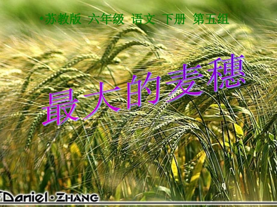 《最大的麦穗》分析课件_第1页