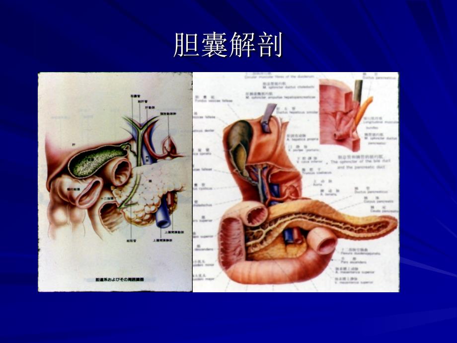 北京市社区技能培训胆道_第2页