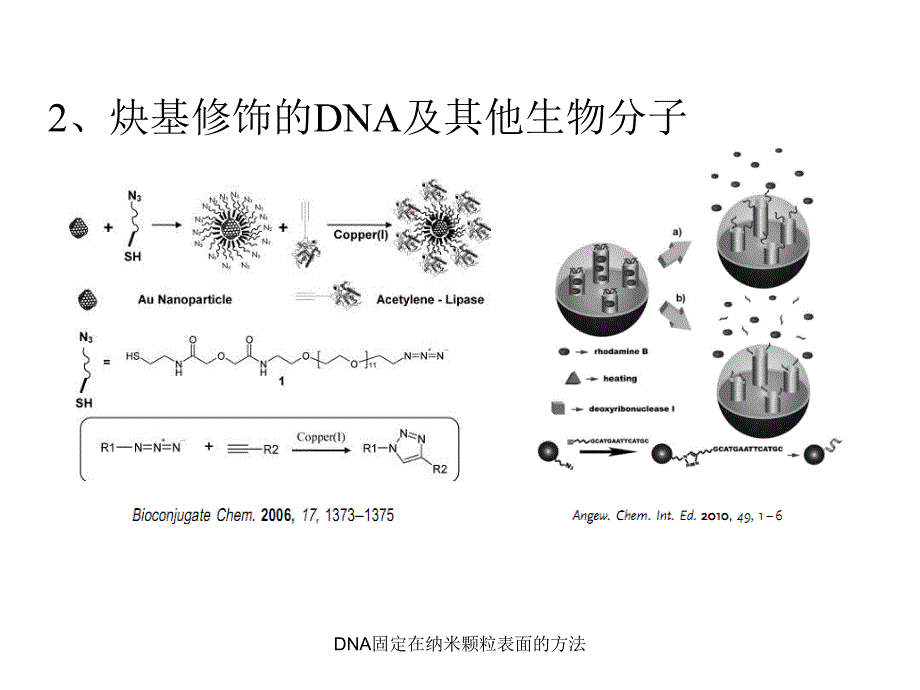 DNA固定在纳米颗粒表面的方法课件_第4页