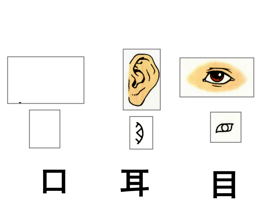 人教版一年级《口耳目》版课件_第3页