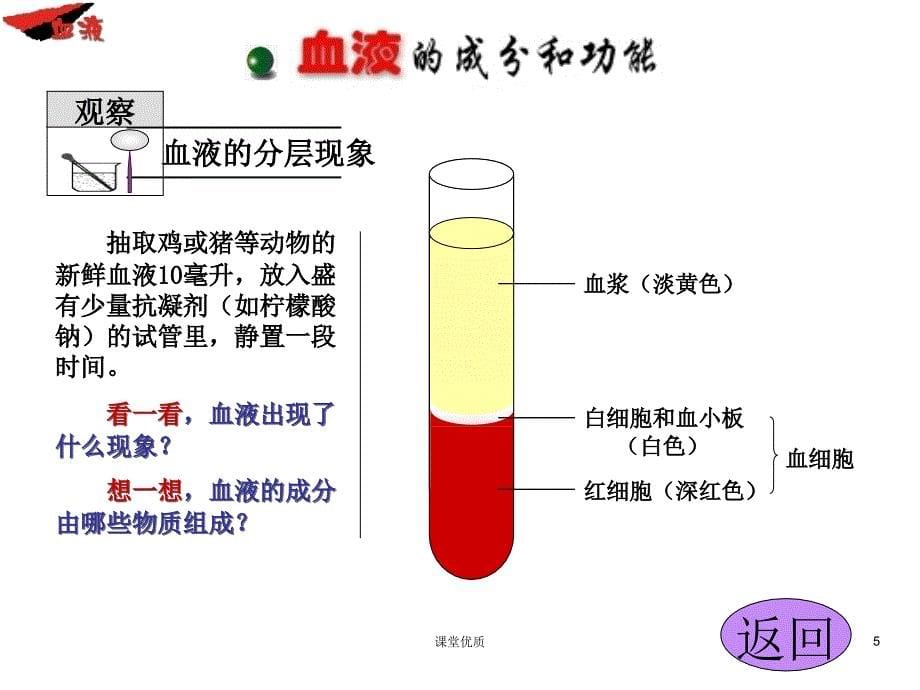 第一节血液和血型详版课资_第5页