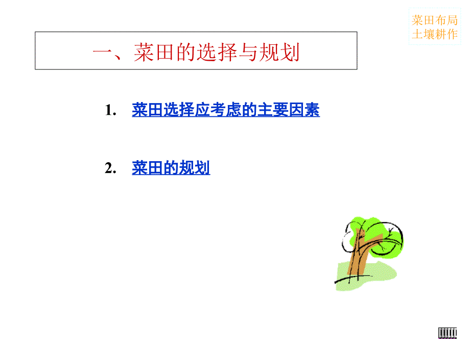 蔬菜种植技术培训(PPT96页)_第3页