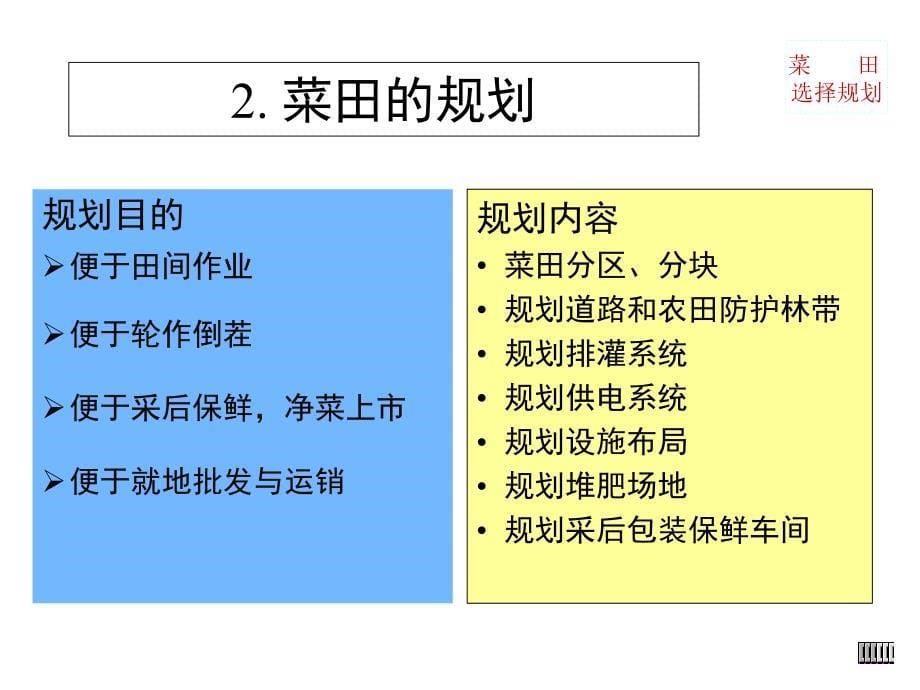 蔬菜种植技术培训(PPT96页)_第5页