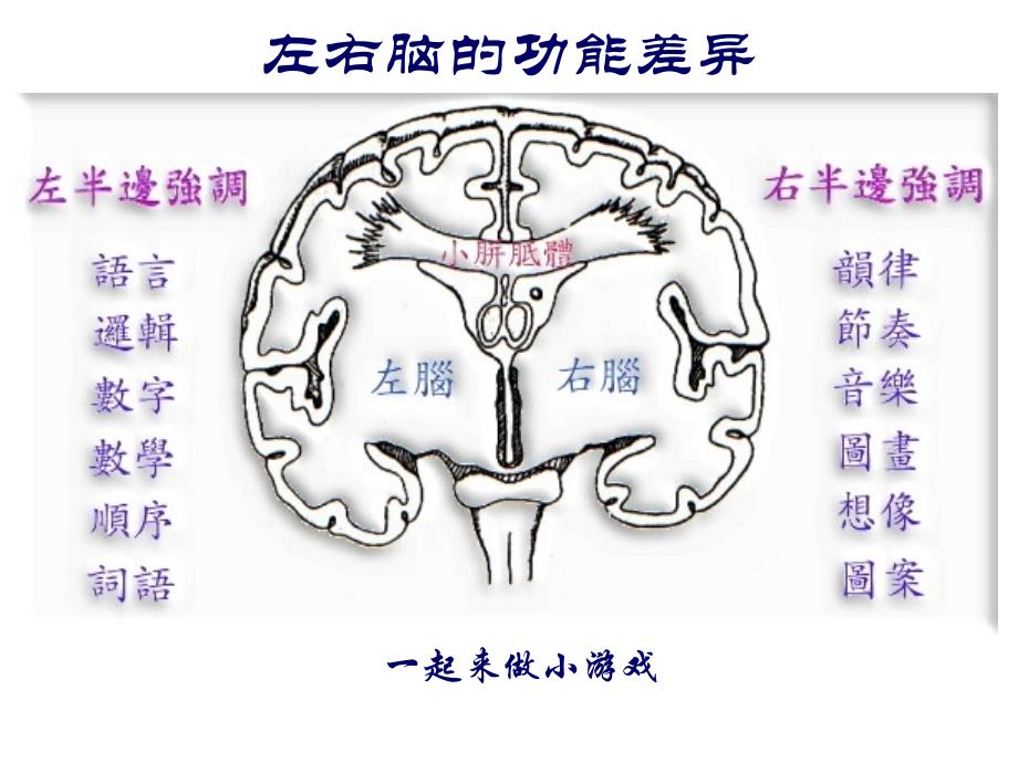 思维导图教程全解.ppt_第3页