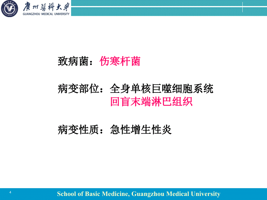 病理学课件：传染病_第4页