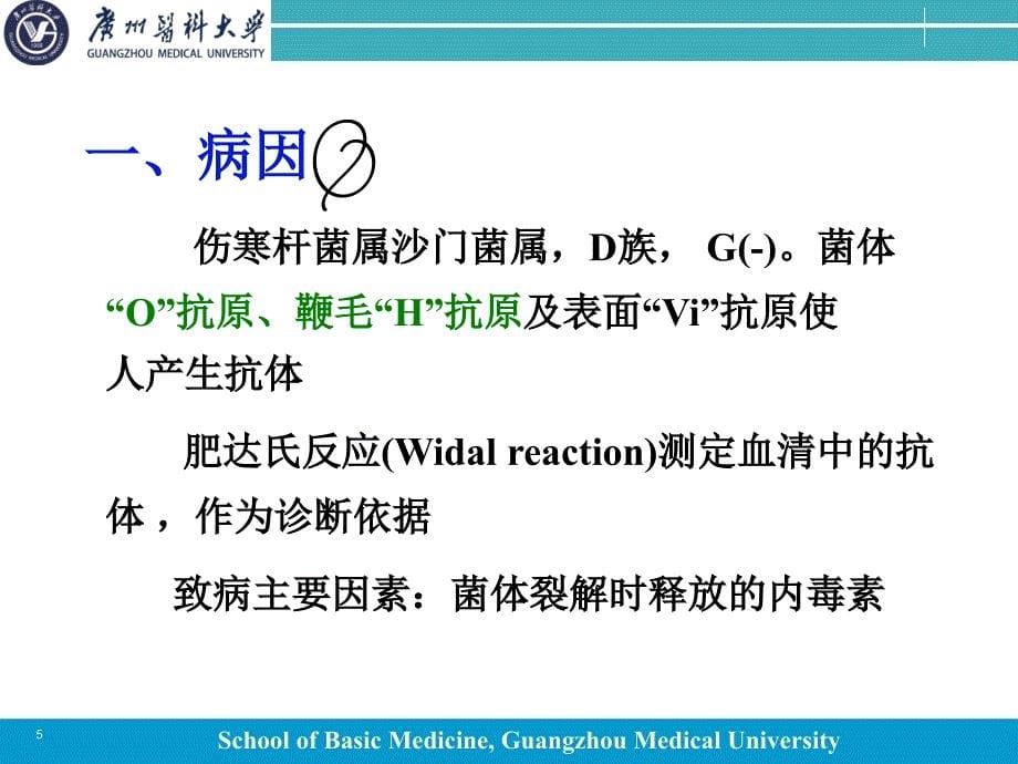 病理学课件：传染病_第5页