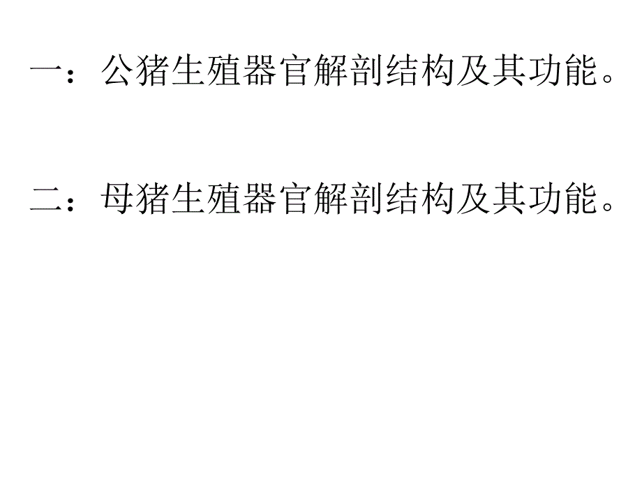 公、母猪生殖器官解剖结构及其功能文档资料_第1页