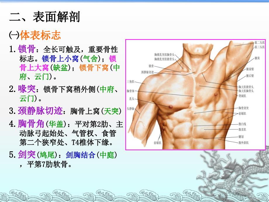 局部解03胸部1胸壁ppt课件_第4页