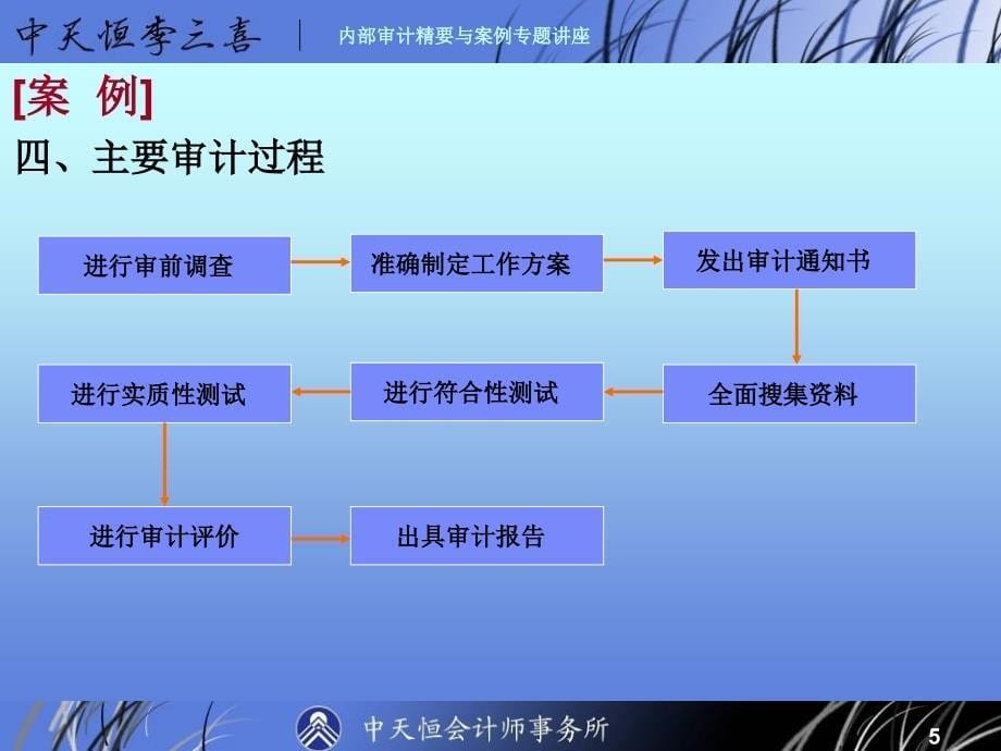 审计精要与案例专题讲座_第5页