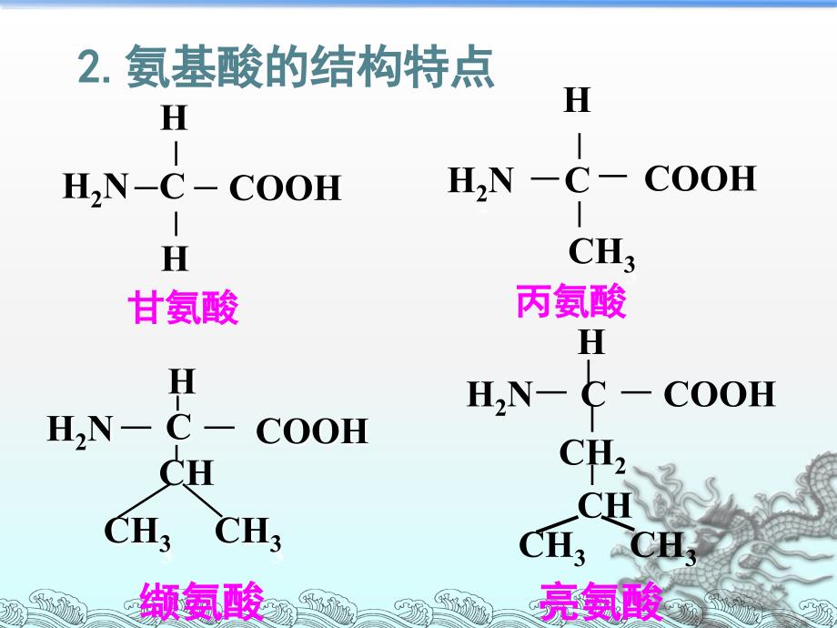 高中生物必修一第二章第1节蛋白质的结构_第3页