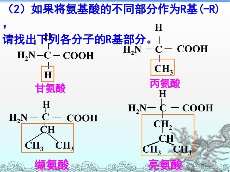 高中生物必修一第二章第1节蛋白质的结构_第5页