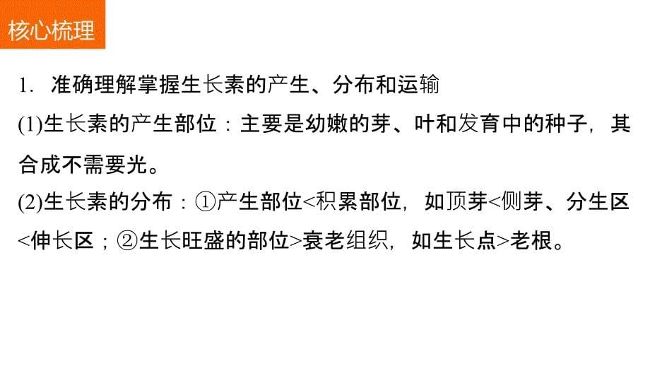 高考生物二轮复习 考前三个月 专题8 植物的激素调节 考点26 生长素的产生、运输及相关拓展分析课件_第5页