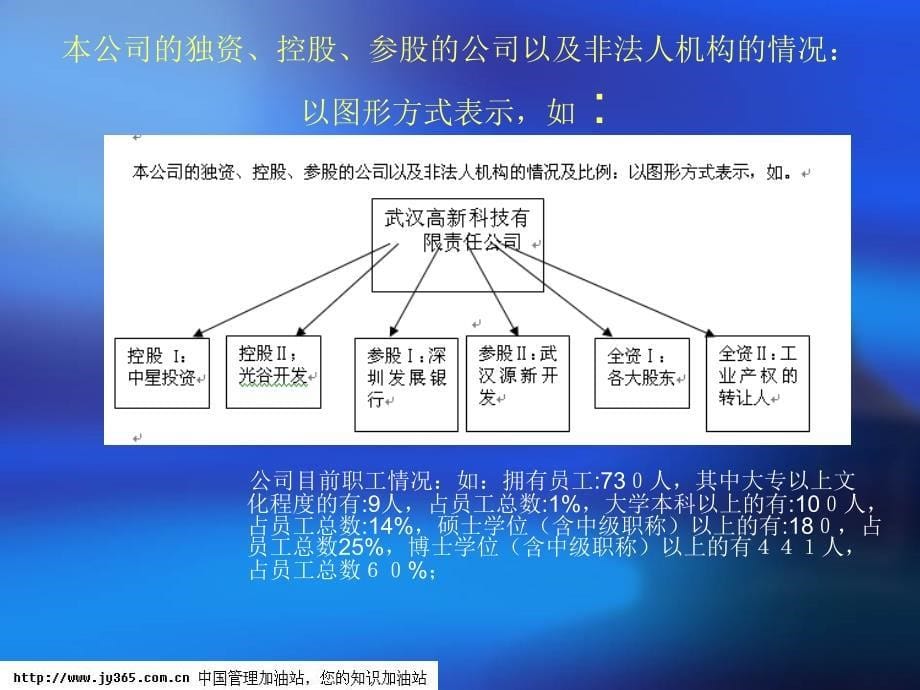 045_武汉市XX科技开发有限责任公司商业计划书(PPT57)_第5页