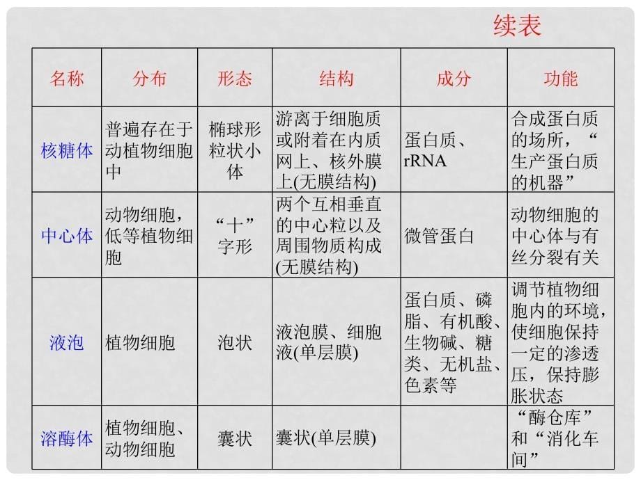 高中生物一轮总复习 第7讲 细胞器——系统内的分工合作课件（必修1）_第5页