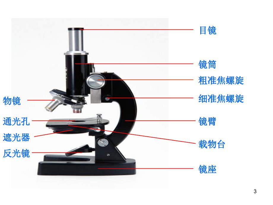 七年级生物学探究的基本方法1_第3页