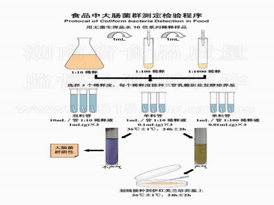 大肠菌群检验技术_第4页