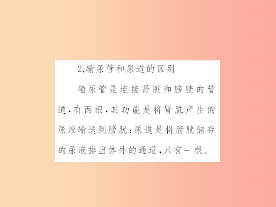 七年级生物下册第四单元第五章人体内废物的排出习题课件 新人教版.ppt_第5页