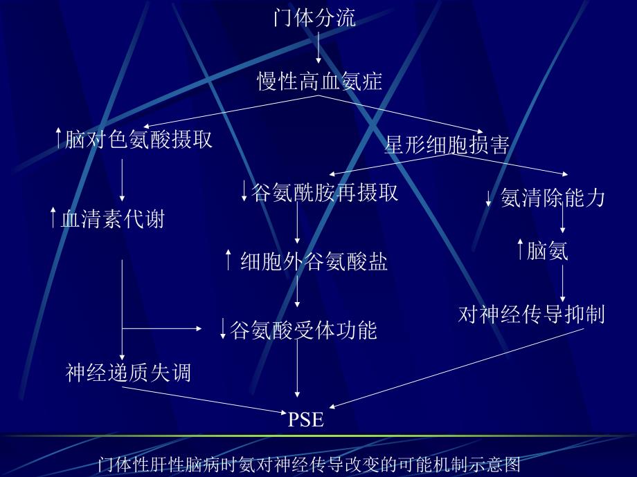 肝性脑病的最新进展课件_第3页