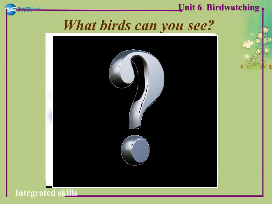 八年级英语上册 Unit 6 Bird watching Integrated skills课件_第2页