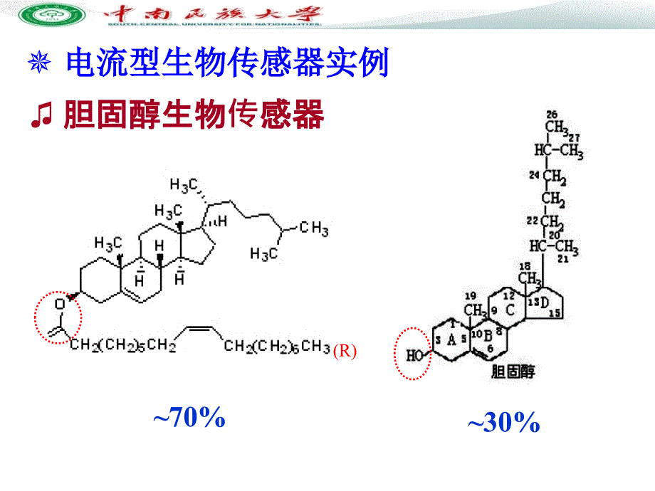 电化学传感器和生物传感器ppt课件_第2页