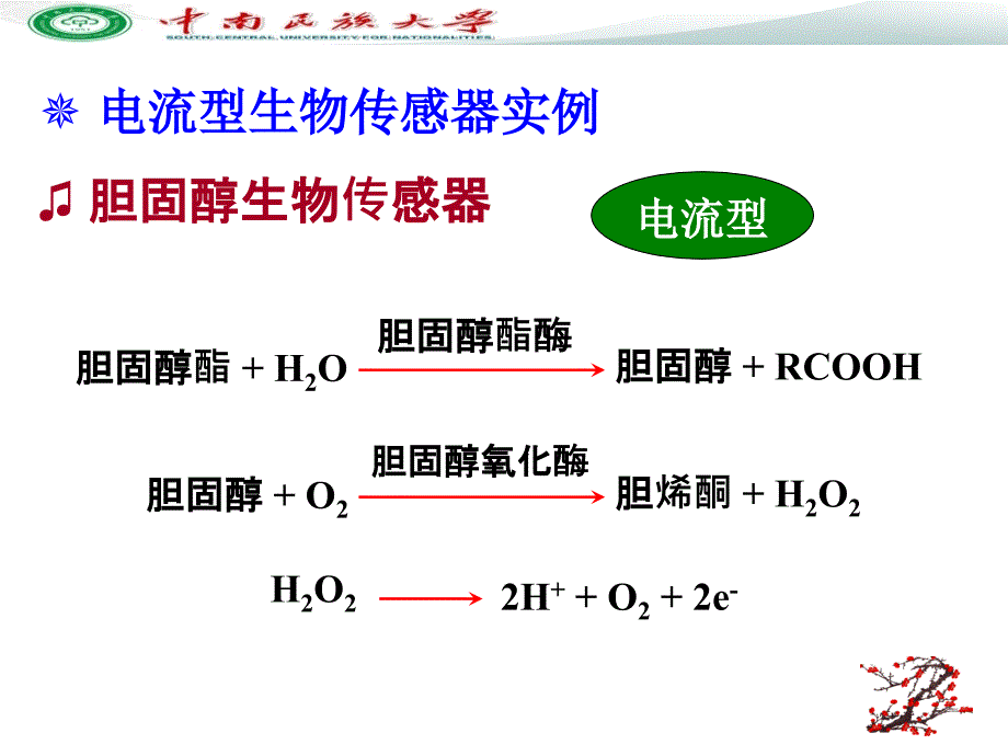 电化学传感器和生物传感器ppt课件_第3页