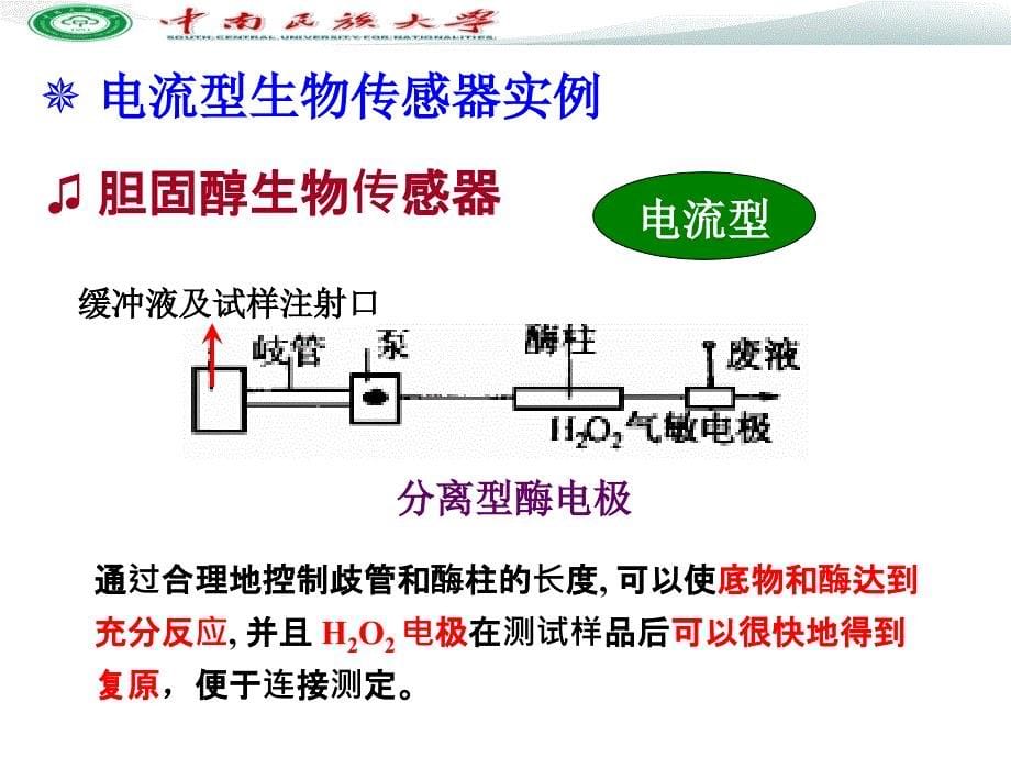 电化学传感器和生物传感器ppt课件_第5页